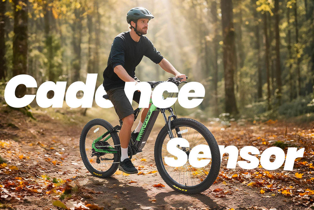 Cyrusher Flex Electric Mountain Bike