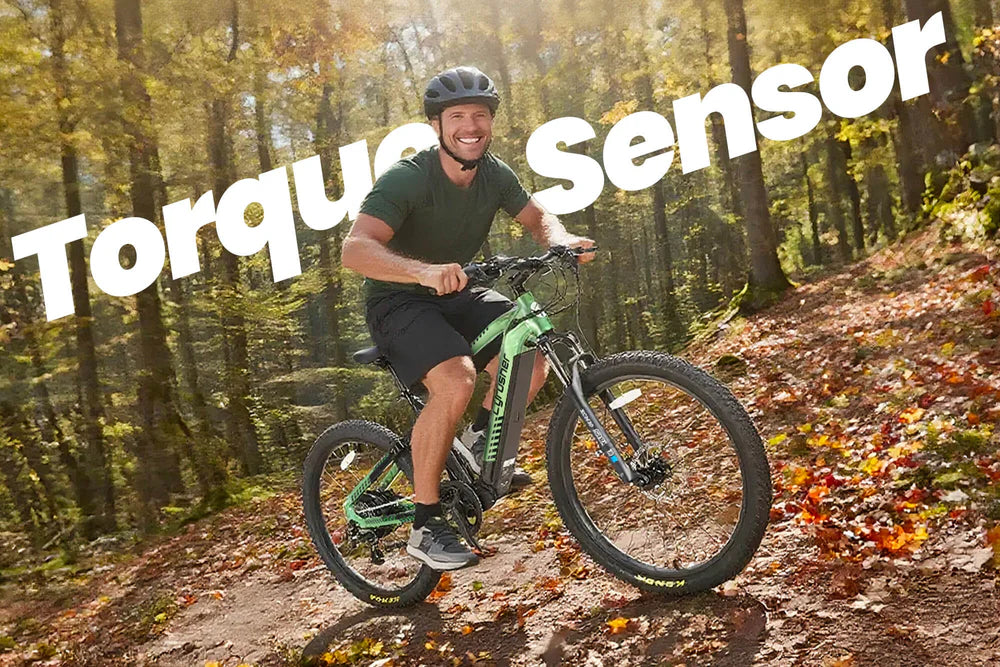 Cyrusher Flex Electric Mountain Bike